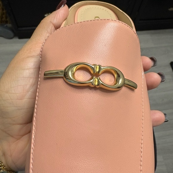 Coach slides - Picture 6 of 8